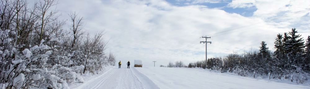 Two snowshoers ascend the rolling hills of of River lot 56. Bush to the left, a frosted powerline to the right and a large hay bail at the crest of the hill.