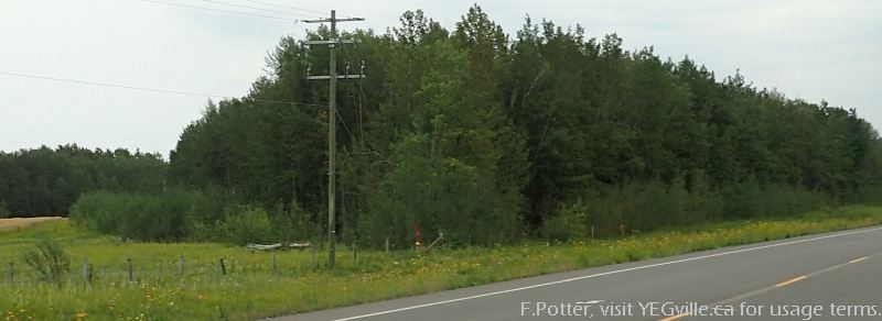 The Northeast Pigeon Lake NA 'wedge' can be seen clearly from highway 771, looking Southeast from HWY 771.