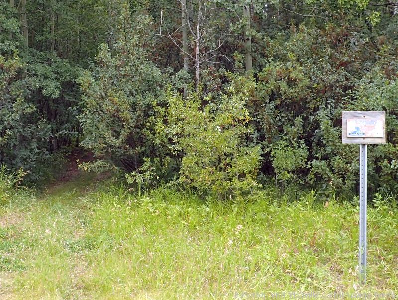 A somewhat overgrown quad track heading North into Pigeon Lake NA from TWP RD 464; a weather beaten NA sign is seen to the right.