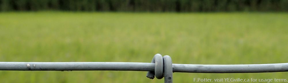 Looking east into the Pigeon Lake NA from the service road.