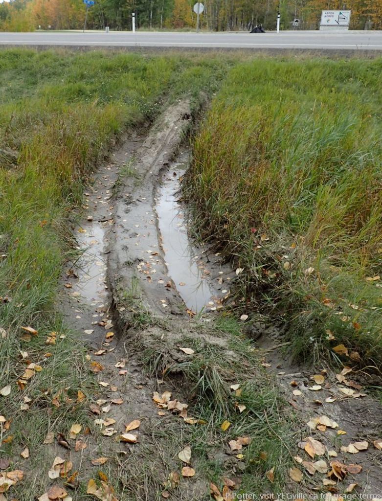 Deeply rutted ingress to the NA from hwy 795 at approximately RR 14; Pigeon Lake NA, P.Potter Sept 24, 2023.