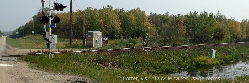 Looking SE into the middled sized parcel of the North Cooking Lake NA, 2023-09-16, P. Potter.