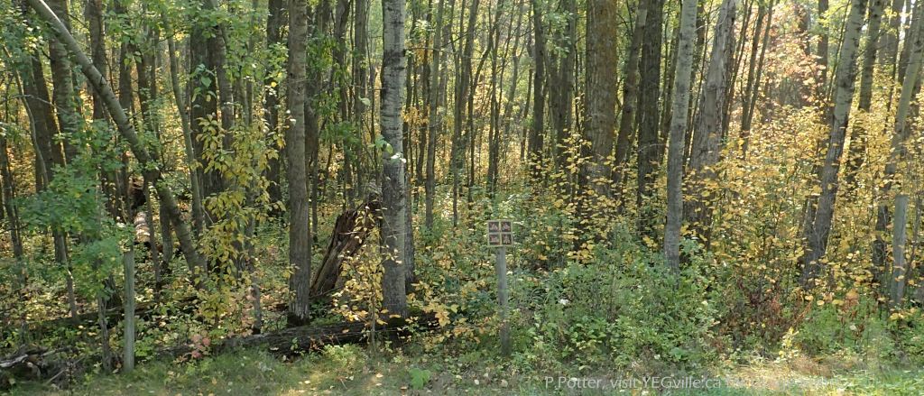 Weather beaten sign, southeast portion, North Cooking Lake, September 16, 2023. P. Potter.