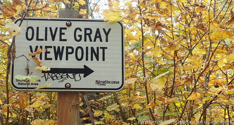 Sign post to the viewing platform, Sherwood Park NA, P.Potter Sept 16, 2023.