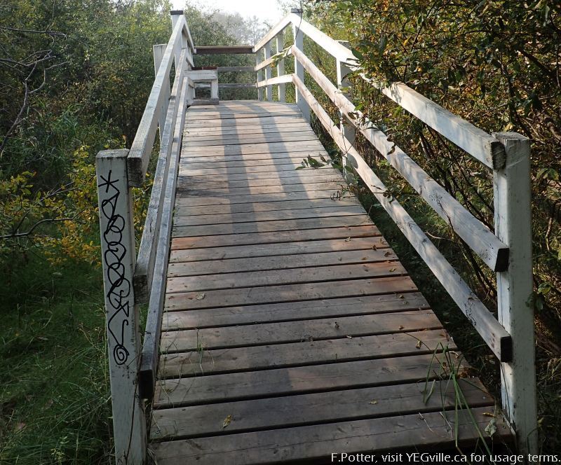 Olive Gray viewing platform, Sherwood Park NA, P.Potter Sept 16, 2023.