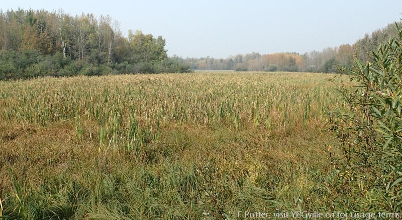 View from the Olive Gray viewing platform, Sherwood Park NA, P.Potter Sept 16, 2023.