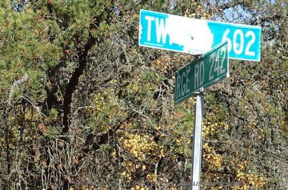 Urban style street signs marking the NE corner of the NA at RR 242 and Hwy 602. P. Potter, Bridge Lake NA, October 1, 2023.