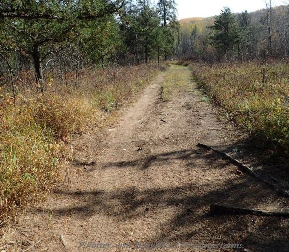 Well used track into the north section of Bridge Lake NA, P. Potter, October 1, 2023.