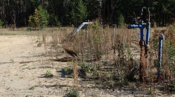 Oil field installation, north east corner of Bridge Lake NA, P. Potter, October 1, 2023.