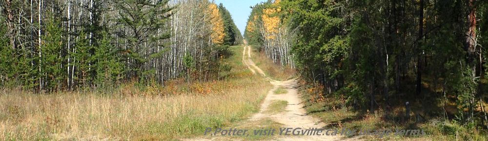 ATV track heading north from the oil field installation, Bridge Lake NA, P. Potter, October 1, 2023.