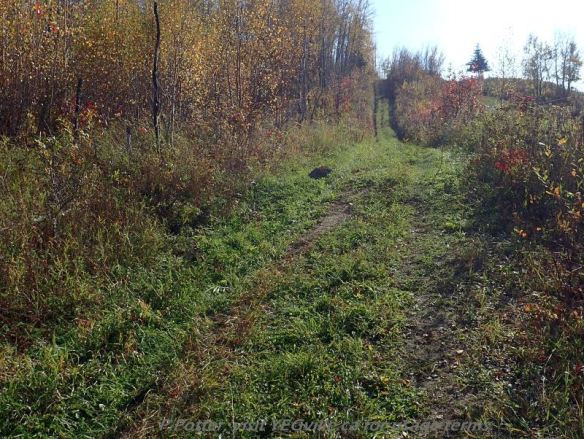 Looking south towards the southwest corner of the Bridge Lake NA, P. Potter, October 1, 2023.