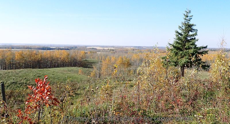 Looking northwest at the top of hill (SW Corner) of Bridge Lake NA, P. Potter, October 1, 2023.