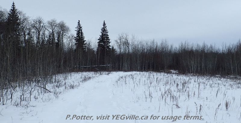 ATV track criss-crossing Opal NA, 2024-03-09, P. Potter.