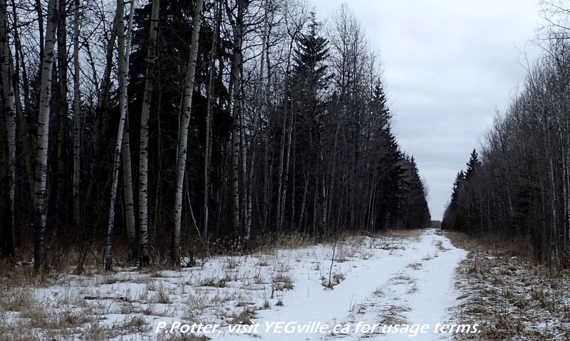 Utility corridor that runs through the bottom half of the NA, looking northwest, Crippsdale Natural Area, 2024-03-29, P. Potter.