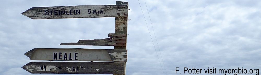 Weather beaten direction signs to places that may no longer needing directions to, junction of RR41 and TWP340, enroute to Eagle Hill Natural Area, 2024-05-05, P. Potter.