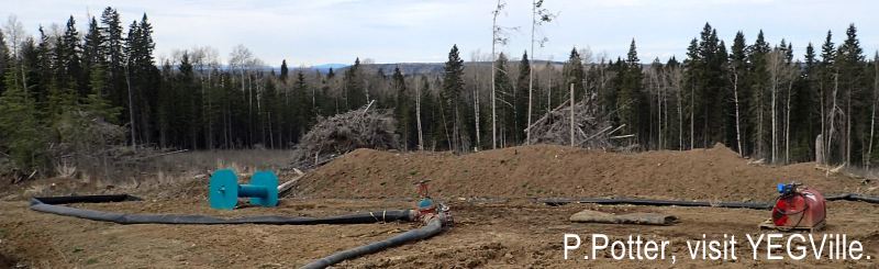 Looking northwest from the adjoining property towards Eagle Hill Natural Area, 2024-05-05, P. Potter.