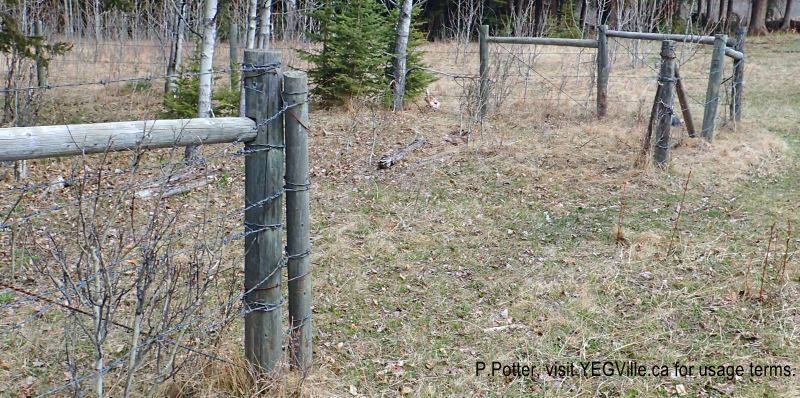 Gate access to the NA in the southeast corner of Eagle Hill Natural Area, 2024-05-05, P. Potter.