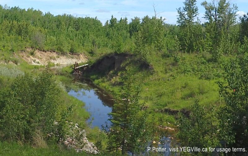 Willow Creek, Calmar Bakery Ride, June 18, 2024; P.Potter, visit YEGVille.ca for usage terms.