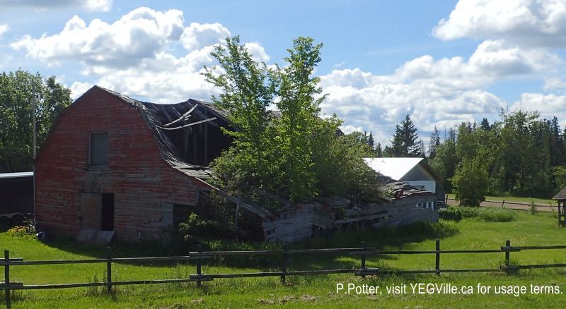 Abandoned Barn near Thorsby, Calmar Bakery Ride, June 18, 2024; P.Potter, visit YEGVille.ca for usage terms.