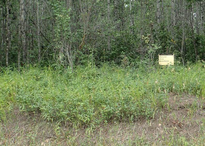 Boundary sign, midway along the border and looking west from RR 244, 2024-08-14, Magee Lake NA, P. Potter.