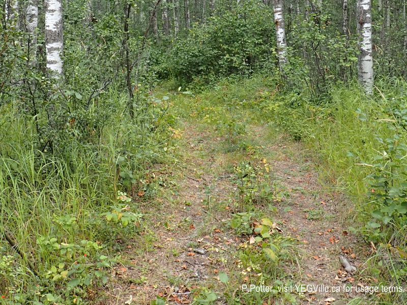Entrance to the ATV track heading west into the NA, 2024-08-14, Magee Lake NA, P. Potter.