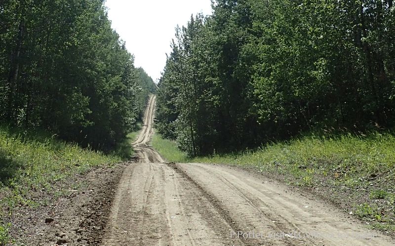 Looking south on Range Road 31 with the NA on the left, Medicine Lodge Hills NA, 2024-08-14, P. Potter.