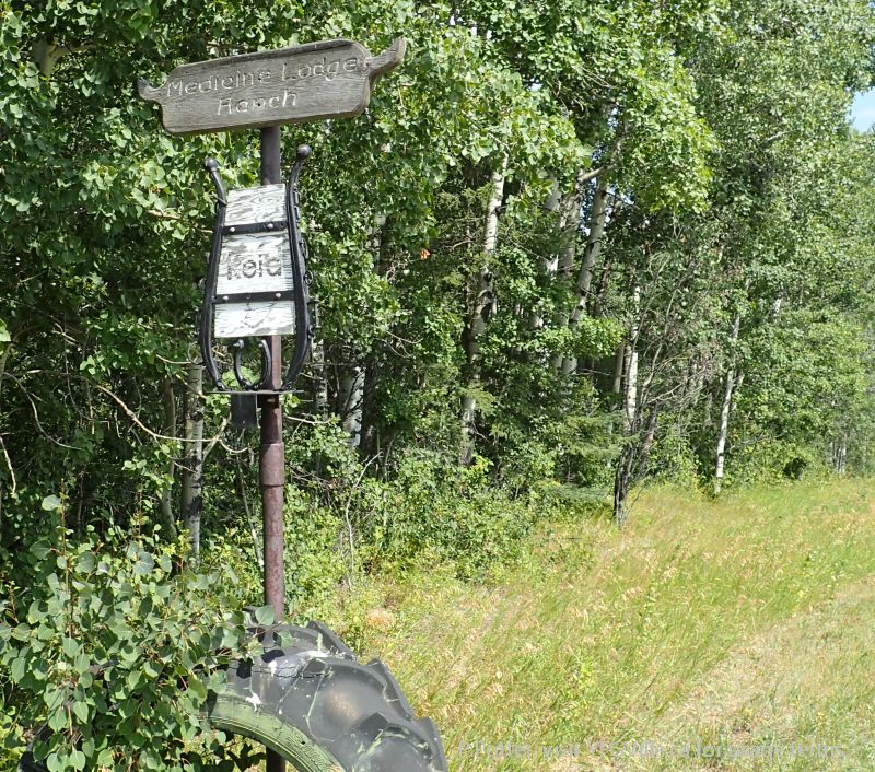 Southern neighbours of the NA, Medicine Lodge Hills NA, 2024-08-14, P. Potter.