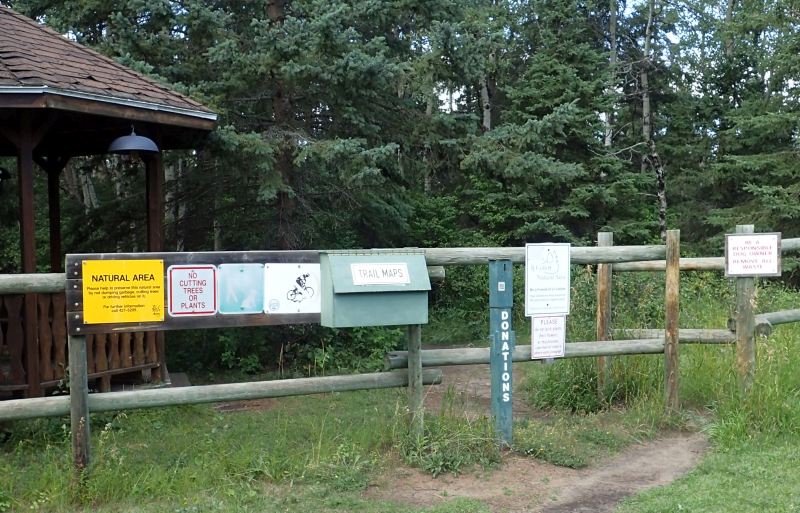 Start of the extensive trail network, JJ Collett, 2024-08-24, P. Potter