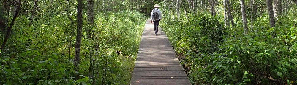 Kate R. enjoying a warm, late summer day in the NA, JJ Collett, 2024-08-24, P. Potter