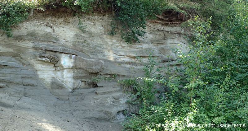 Sandstone outcrop in the parking lot on the southside of , Magee Lake, 2024-08-24, P. Potter.