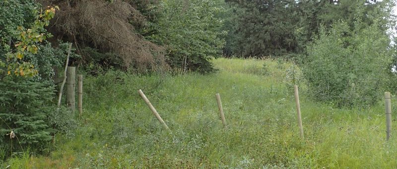 Access gate in the NE corner of the NA, Ukalta (PNT) NA, 2024-08-30, P. Potter.