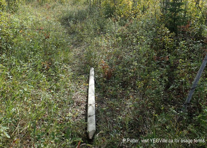 A second gate coming in from the adjoining property from the South, 2024-09-21, Threepoint Creek Na, P. Potter.