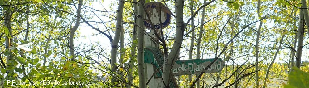 A long since forgotten CAA road side marker on the south border of the NA, 2024-09-21, Threepoint Creek Na, P. Potter.