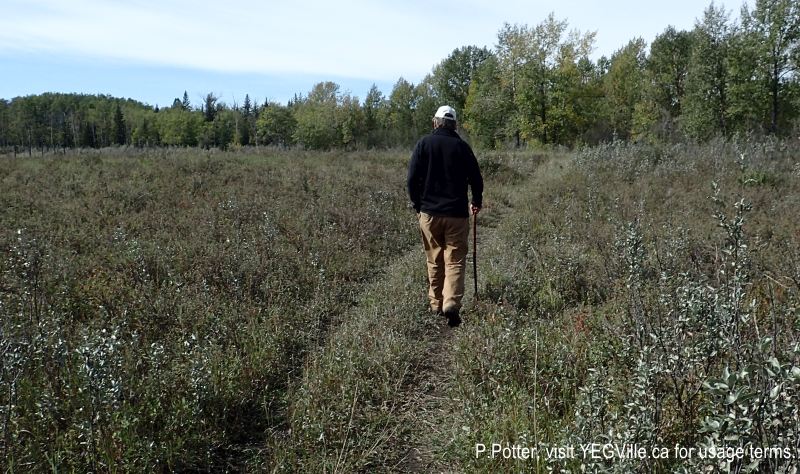 A walker along the ATV track heading West towards the creek, 2024-09-21, Threepoint Creek Na, P. Potter.