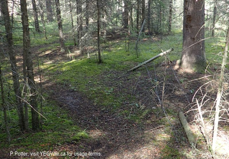 Government fencing (right border of the image) along the east border. 2024-09-21, Threepoint Creek Na, P. Potter.
