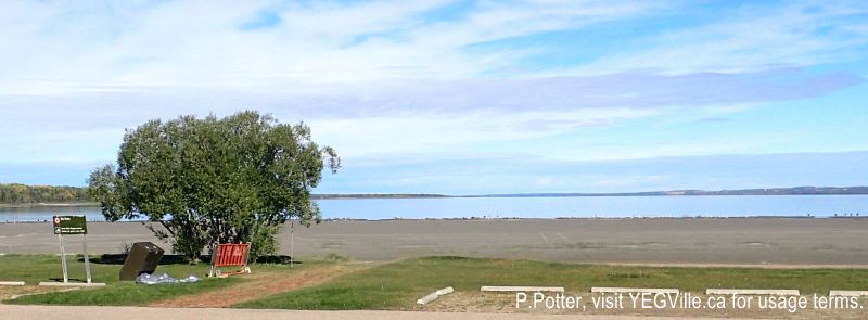 Aspen Beach PP on Gull Lake is closed and hosting numerous birds... and Gulls! 2024-09-22, P. Potter.