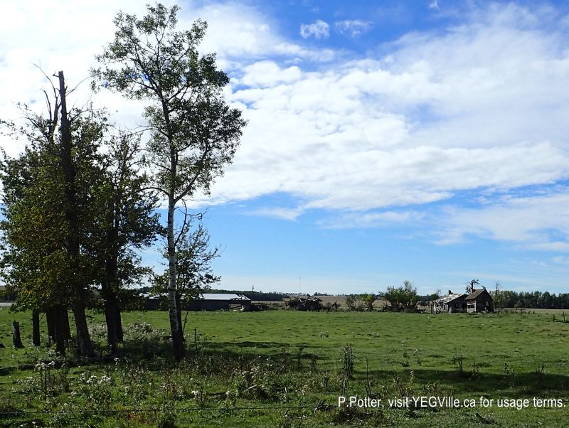 A former homestead on the SW-most portion of the PRA. Gull Lake PNT (South), 2024-09-22, P. Potter.