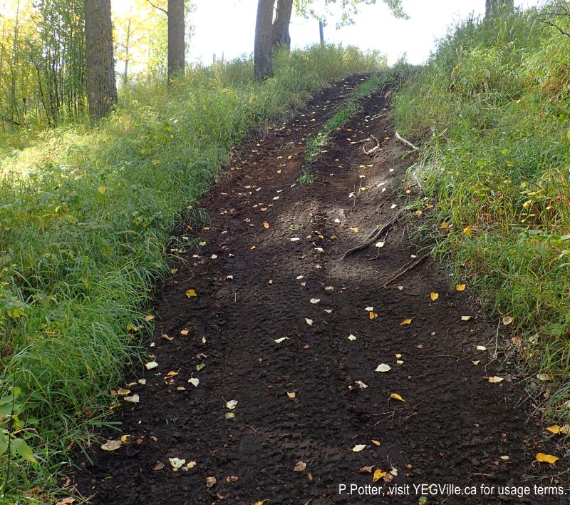 ATV Track descends the embankment which forms the outer boundary of the lake; a fence at the top of the embankment appears to have been cut. Gull Lake PNT (South), 2024-09-22, P. Potter.