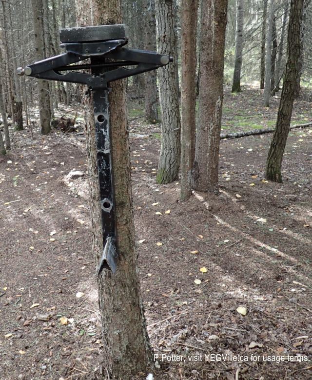 An ingenious log splitter bolted to a tree. Gull Lake PNT (South), 2024-09-22, P. Potter.
