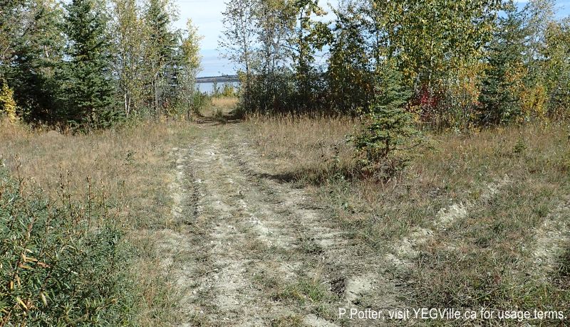Looking east along the trail to the beach, about 150 M from the hunting camp. Gull Lake PNT (South), 2024-09-22, P. Potter.