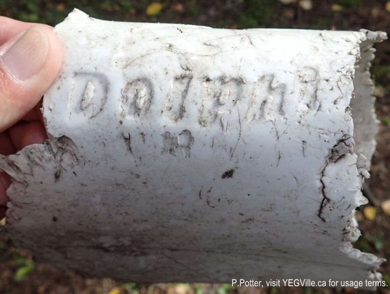 Plastic trash with teeth marks. Gull Lake PNT (South), 2024-09-22, P. Potter.