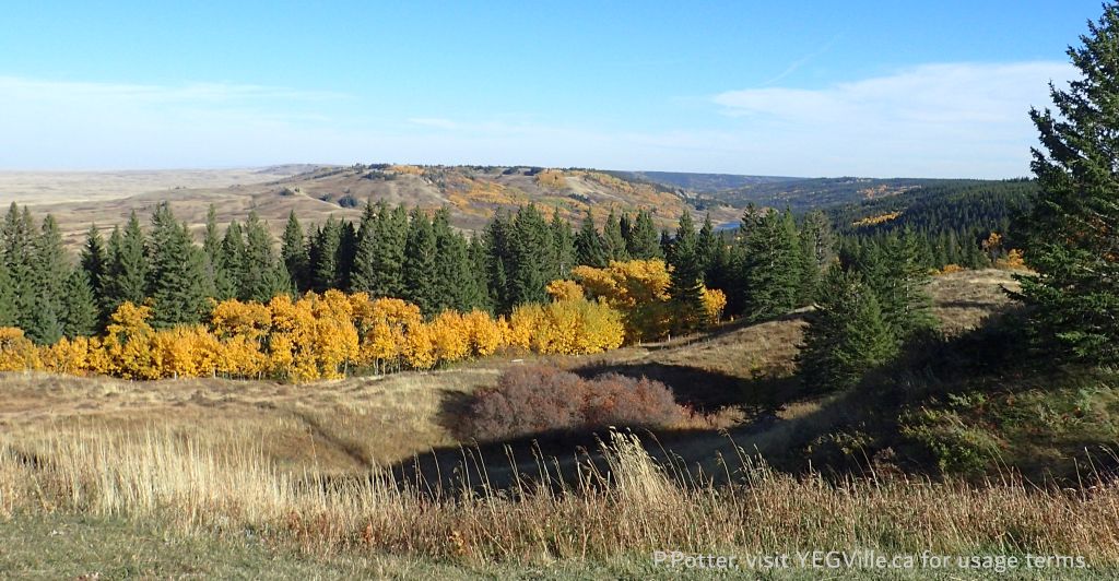 Looking Southeast from the Reesor Lake Road towards the same, Cypress Hills PP, 2024-10-14, P. Potter.