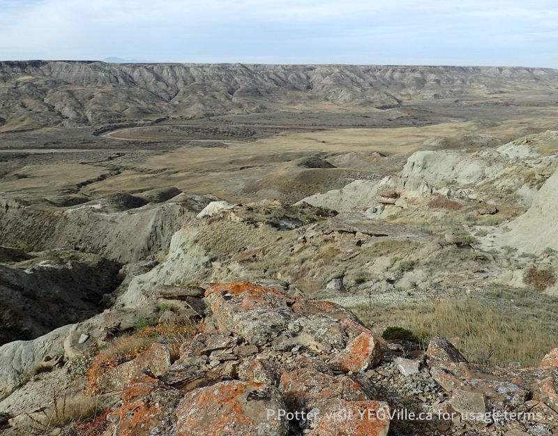 Looking South across the valley, Milk River NA, 2024-10-15, P. Potter.