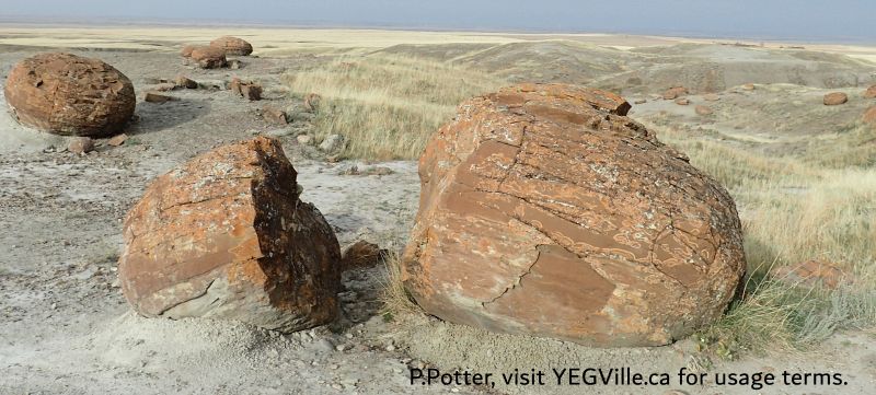A concentration of concretions, Red Rock Coulee NA, 2024-10-16, P. Potter.
