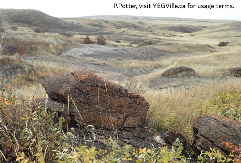 Looking South towards the valley; SE parcel, Red Rock Coulee NA, 2024-10-16, P. Potter.