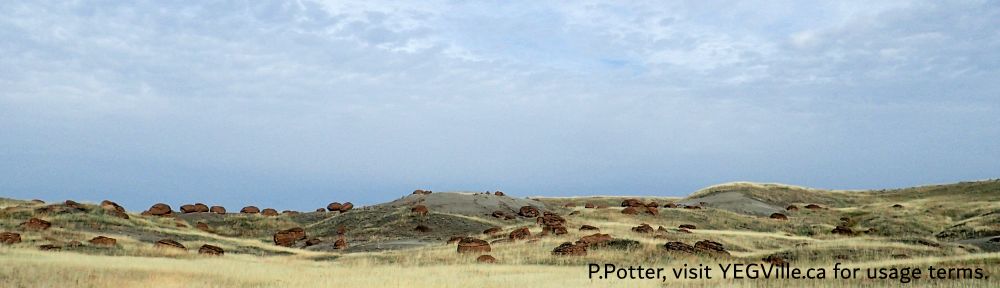 Looking North at a collection of concretions, Red Rock Coulee NA, 2024-10-16, P. Potter.