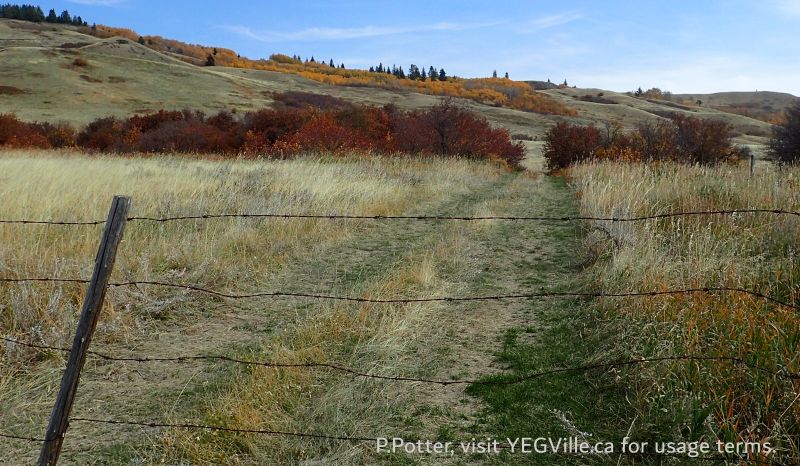 Looking East into the Cypress Hills PP from the site, St Margaret Church, 2024-10-17, P. Potter.