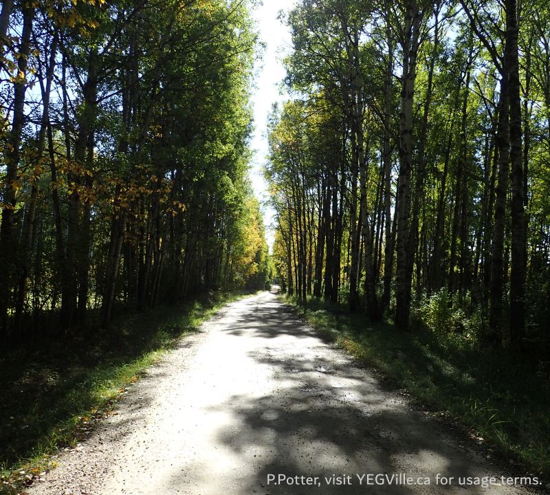 TWP 455A, west of RR 14 - a gorgeous archway ceiling drive, 2024-09-24, P. Potter.