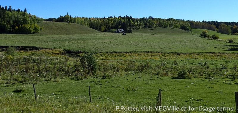 An abandoned farmstead, just north of the Battle River off Hwy. 771 and north of TWP 455A, 2024-09-24, P. Potter.