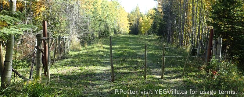 Looking E into the adjoining property, Town Creek NA, 2024-09-25, P. Potter.